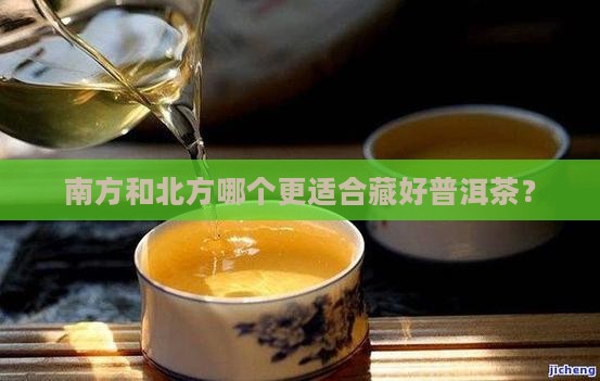 南方和北方哪个更适合藏好普洱茶？