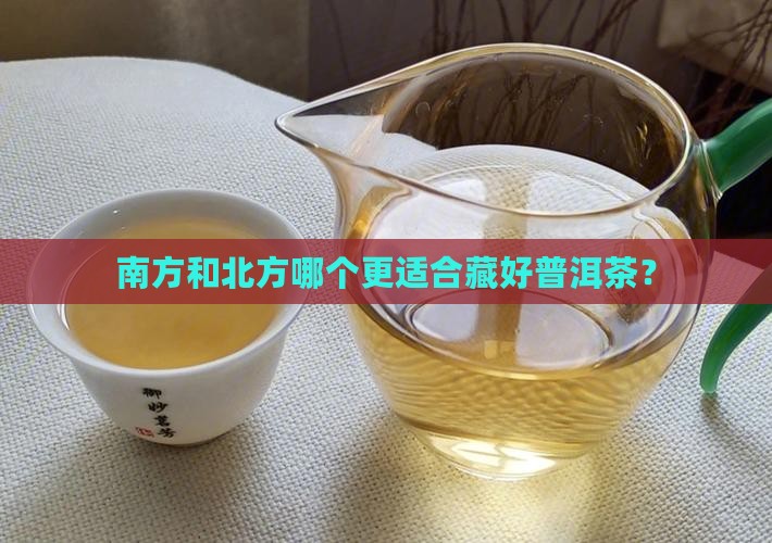 南方和北方哪个更适合藏好普洱茶？
