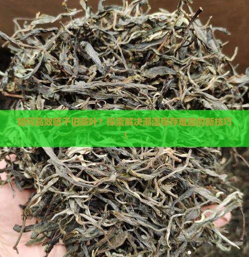 如何高效晒干旧茶叶？探索解决潮湿保存难题的新技巧！