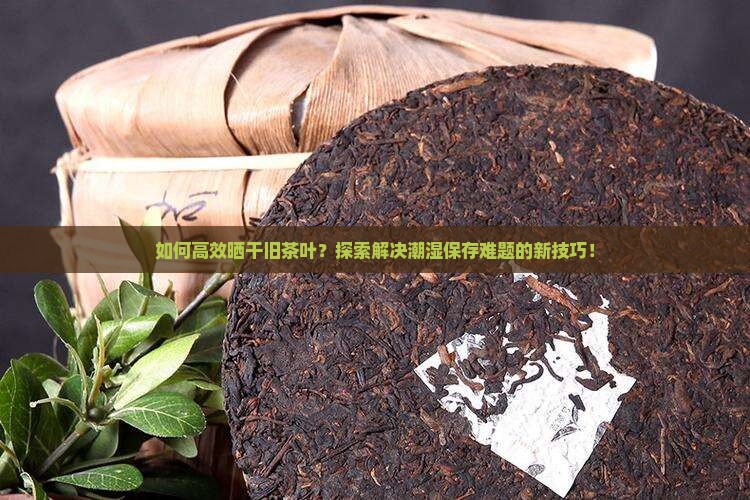 如何高效晒干旧茶叶？探索解决潮湿保存难题的新技巧！