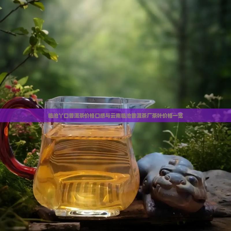 临沧丫口普洱茶价格口感与云南临沧普洱茶厂茶叶价格一览