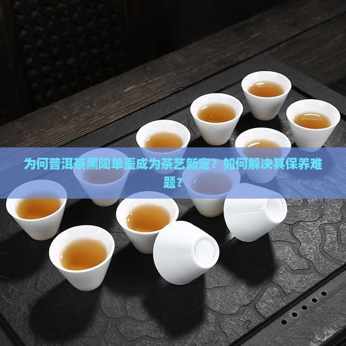 为何普洱茶黑陶单壶成为茶艺新宠？如何解决其保养难题？