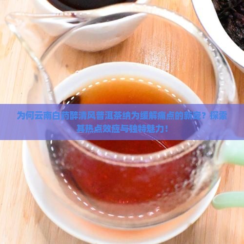 为何云南白药醉清风普洱茶纳为缓解痛点的新宠？探索其热点效应与独特魅力！