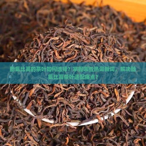 酚氨比高的茶叶如何选择？掌握哪些热词新词，解决酚氨比高茶叶适配痛点？