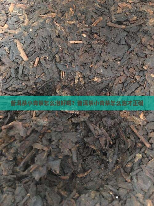 普洱茶小青茶怎么泡好喝？普洱茶小青茶怎么泡才正确