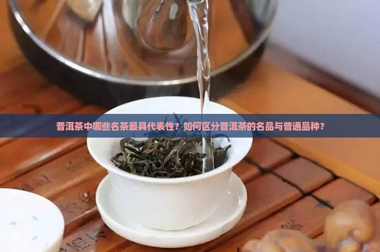 普洱茶中哪些名茶最具代表性？如何区分普洱茶的名品与普通品种？