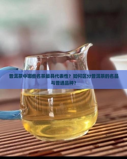 普洱茶中哪些名茶最具代表性？如何区分普洱茶的名品与普通品种？