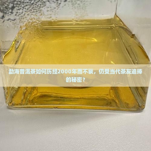 勐海普洱茶如何历经2000年而不衰，仍受当代茶友追捧的秘密？