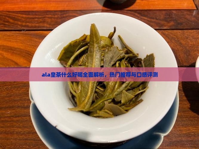 ala皇茶什么好喝全面解析，热门推荐与口感评测