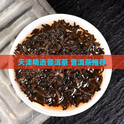 天津精选普洱茶 普洱茶推荐