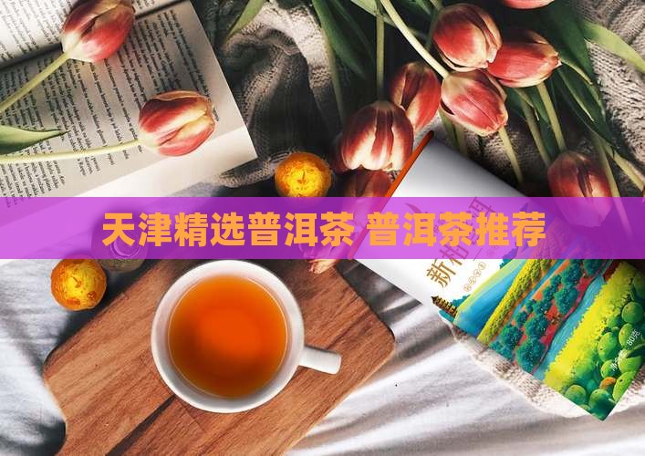 天津精选普洱茶 普洱茶推荐
