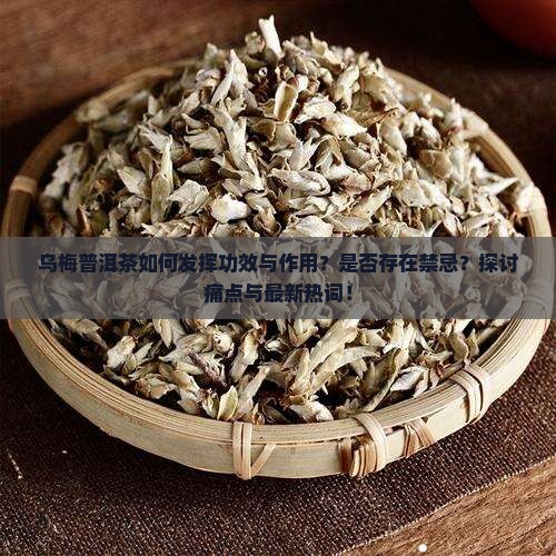 乌梅普洱茶如何发挥功效与作用？是否存在禁忌？探讨痛点与最新热词！
