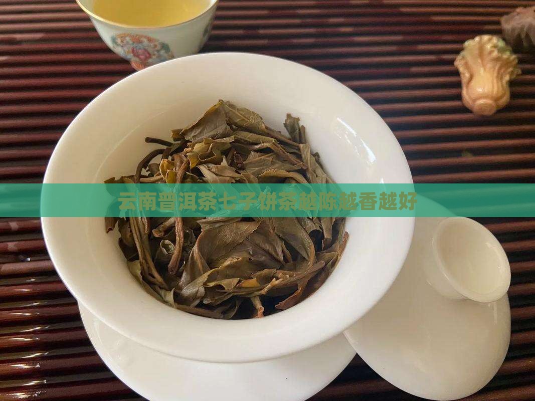 云南普洱茶七子饼茶越陈越香越好