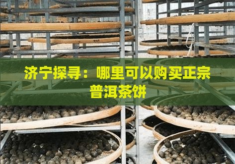 济宁探寻：哪里可以购买正宗普洱茶饼
