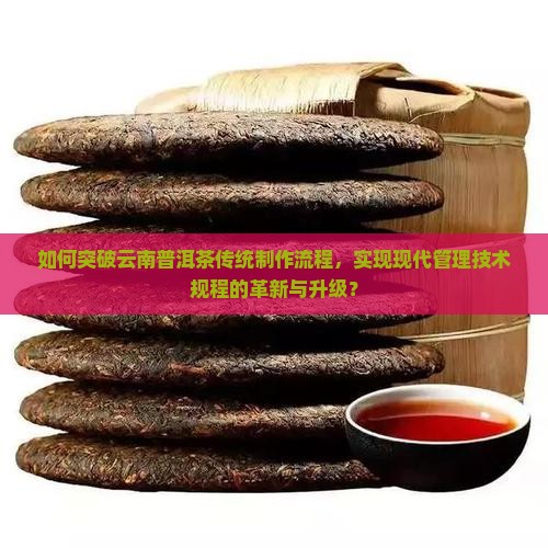 如何突破云南普洱茶传统制作流程，实现现代管理技术规程的革新与升级？