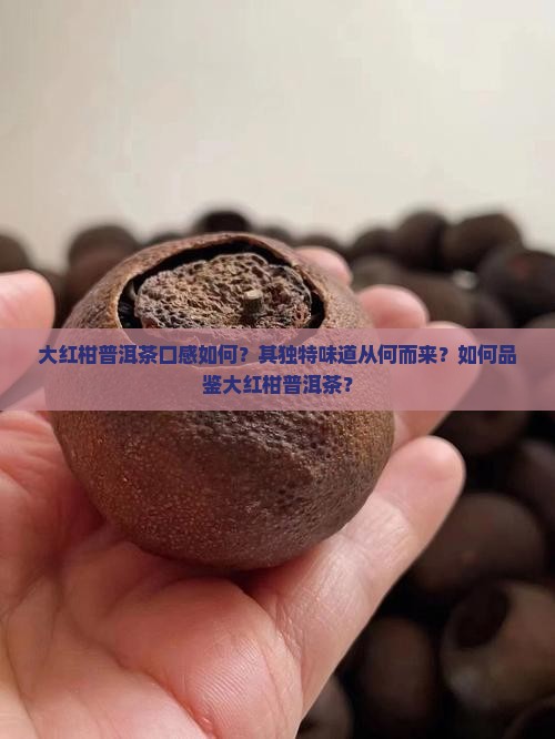 大红柑普洱茶口感如何？其独特味道从何而来？如何品鉴大红柑普洱茶？