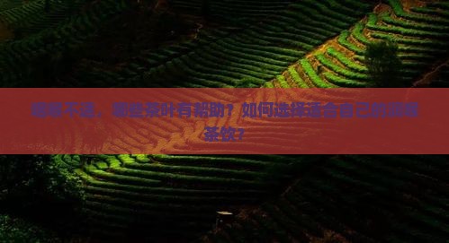 咽喉不适，哪些茶叶有帮助？如何选择适合自己的润喉茶饮？