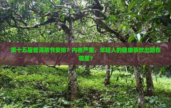 第十五届普洱茶节安排？内卷严重，年轻人的健康茶饮出路在哪里？