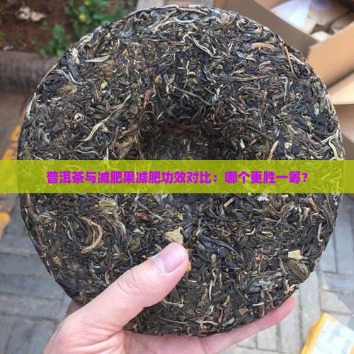 普洱茶与减肥果减肥功效对比：哪个更胜一筹？