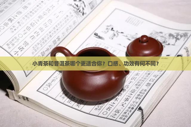 小青茶和普洱茶哪个更适合你？口感、功效有何不同？