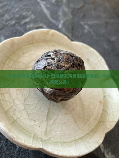 隆晨老班章是真是假？普洱茶发烧友的终极痛点，网红茶怎么选？