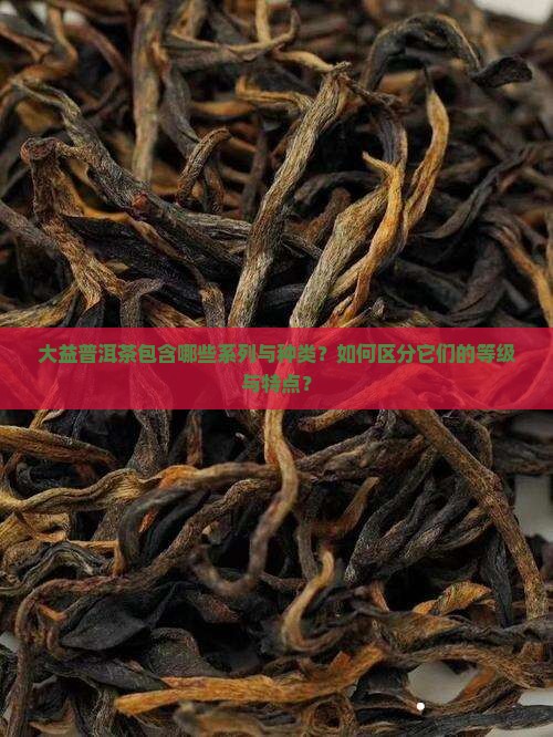大益普洱茶包含哪些系列与种类？如何区分它们的等级与特点？