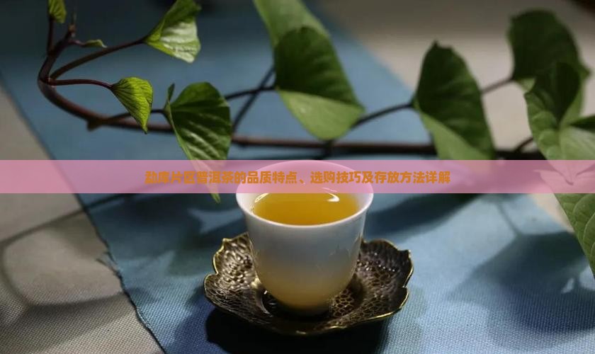 勐库片区普洱茶的品质特点、选购技巧及存放方法详解