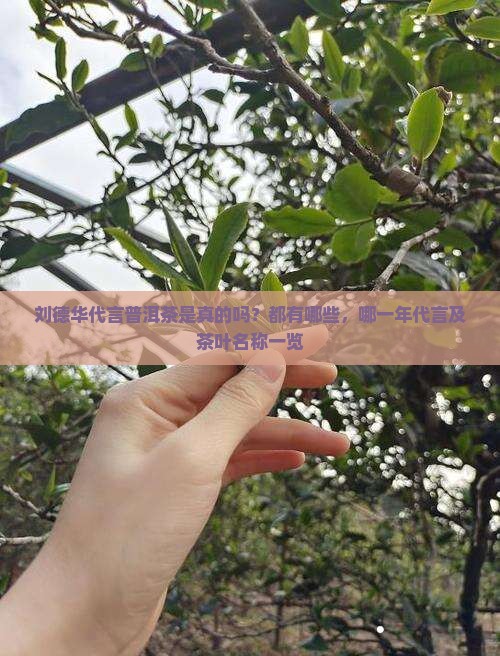 刘德华代言普洱茶是真的吗？都有哪些，哪一年代言及茶叶名称一览