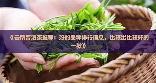 《云南普洱茶推荐：好的品种排行信息，比较出比较好的一款》