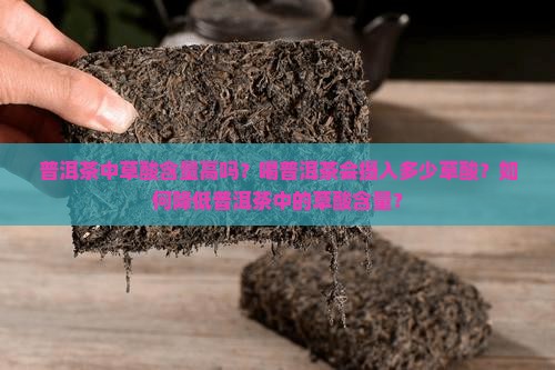普洱茶中草酸含量高吗？喝普洱茶会摄入多少草酸？如何降低普洱茶中的草酸含量？