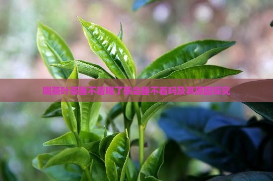 喝茶叶茶睡不着喝了茶会睡不着吗及其原因探究
