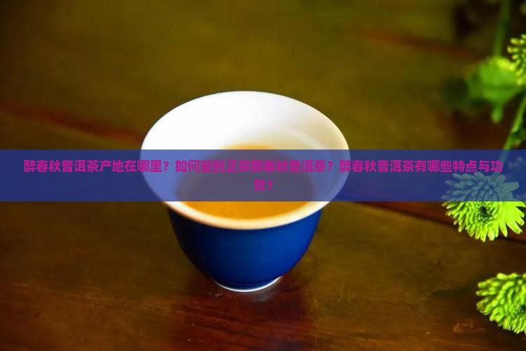 醉春秋普洱茶产地在哪里？如何鉴别正宗醉春秋普洱茶？醉春秋普洱茶有哪些特点与功效？