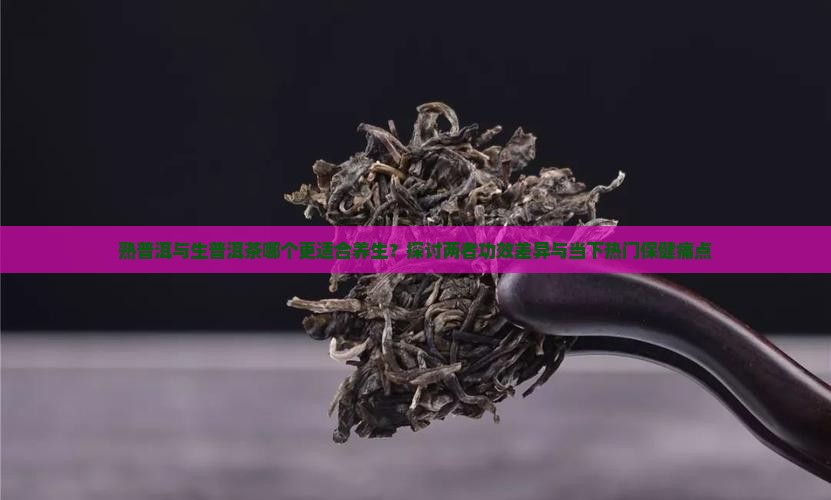熟普洱与生普洱茶哪个更适合养生？探讨两者功效差异与当下热门保健痛点