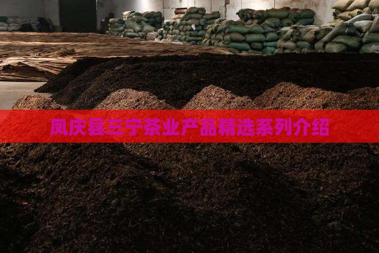 凤庆县三宁茶业产品精选系列介绍