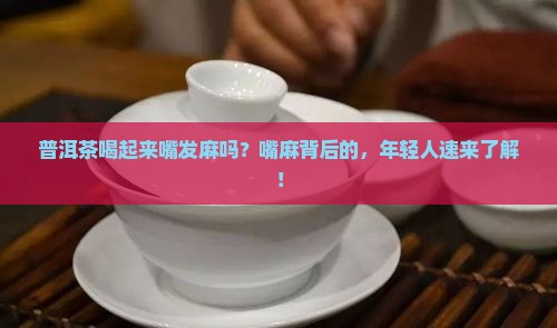 普洱茶喝起来嘴发麻吗？嘴麻背后的，年轻人速来了解！