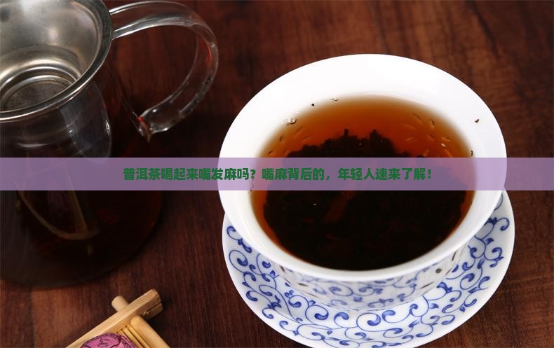 普洱茶喝起来嘴发麻吗？嘴麻背后的，年轻人速来了解！
