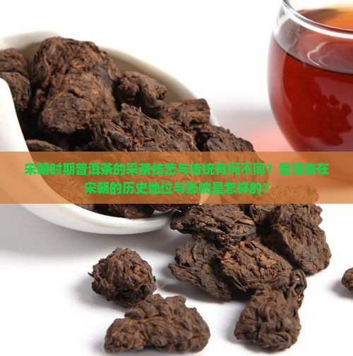 宋朝时期普洱茶的采茶技艺与传统有何不同？普洱茶在宋朝的历史地位与影响是怎样的？