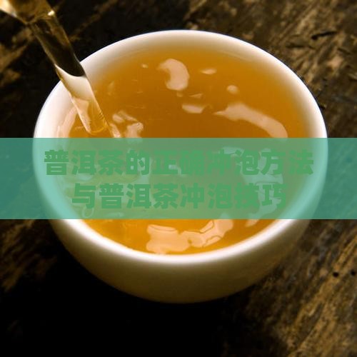普洱茶的正确冲泡方法与普洱茶冲泡技巧