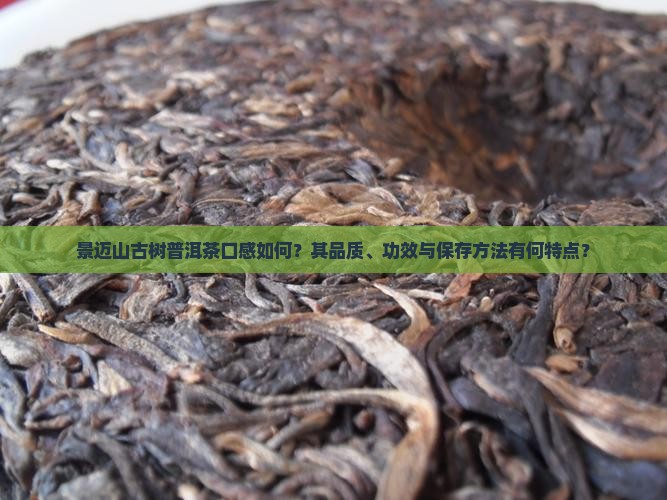 景迈山古树普洱茶口感如何？其品质、功效与保存方法有何特点？