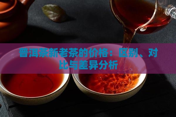 普洱茶新老茶的价格：区别、对比与差异分析