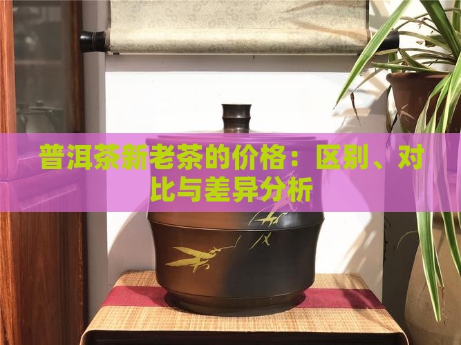 普洱茶新老茶的价格：区别、对比与差异分析