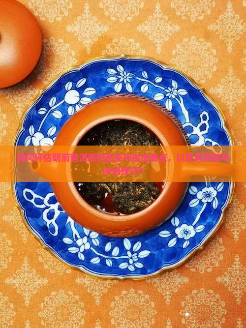 如何评估明前普洱茶的品质与挑选要点，以及其存储与冲泡技巧？