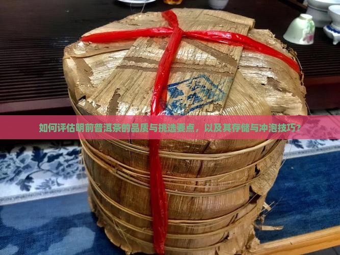 如何评估明前普洱茶的品质与挑选要点，以及其存储与冲泡技巧？
