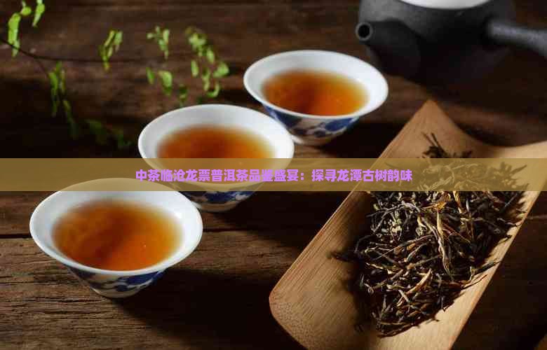 中茶临沧龙票普洱茶品鉴盛宴：探寻龙潭古树韵味