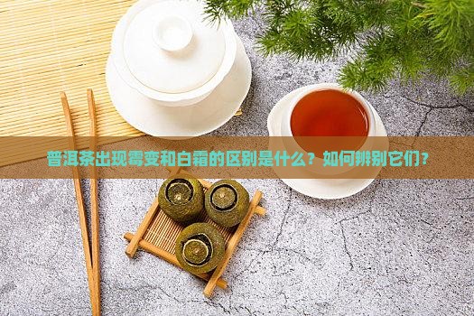普洱茶出现霉变和白霜的区别是什么？如何辨别它们？
