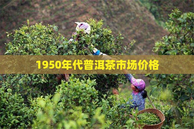 1950年代普洱茶市场价格
