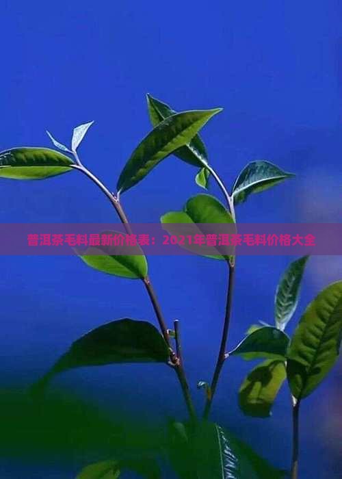 普洱茶毛料最新价格表：2021年普洱茶毛料价格大全