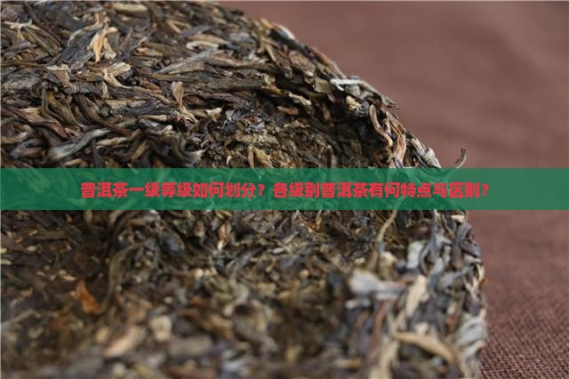 普洱茶一级等级如何划分？各级别普洱茶有何特点与区别？