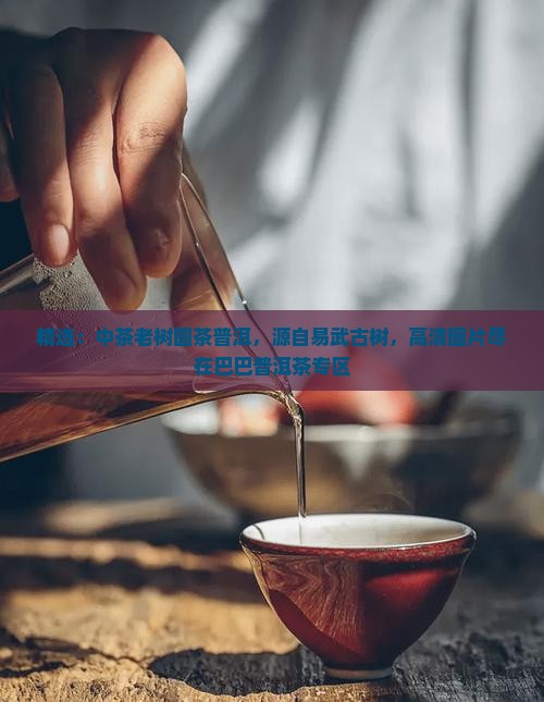 精选：中茶老树圆茶普洱，源自易武古树，高清图片尽在巴巴普洱茶专区