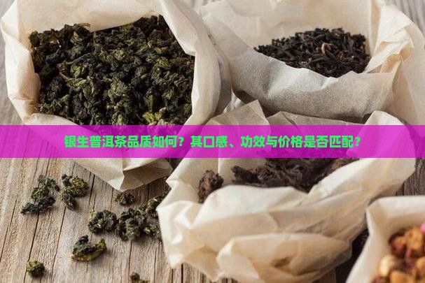 银生普洱茶品质如何？其口感、功效与价格是否匹配？